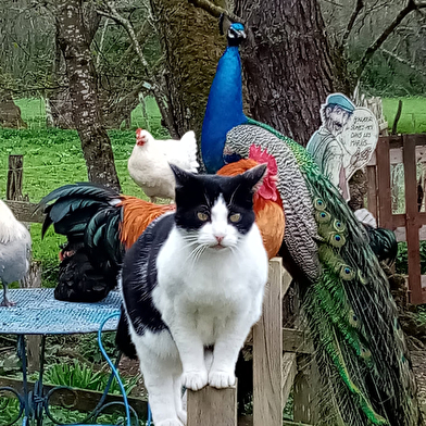 La Ferme du Moulin de Vanneau