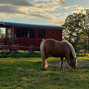 La roulotte de Louise - SAINT-FARGEAU