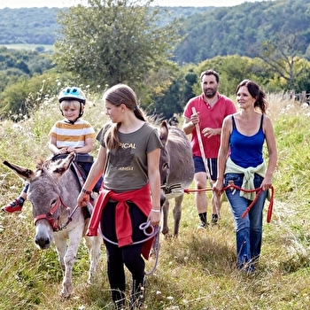 Créé un lien unique avec nos amis aux grand oreilles ! - CHAMOUX