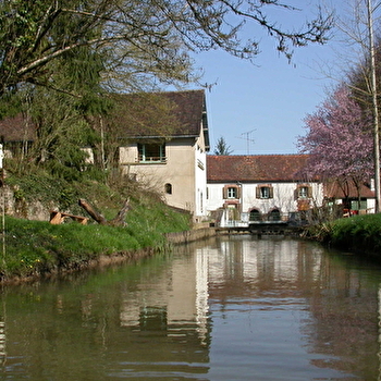 Un endroit idéal pour t'initier à la pêche à la truite, dans un cadre naturel préservé. - CHARNY OREE DE PUISAYE
