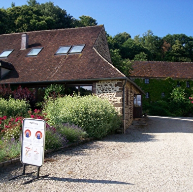 L'univers de l'édition d'art n'aura plus de secrets pour toi !