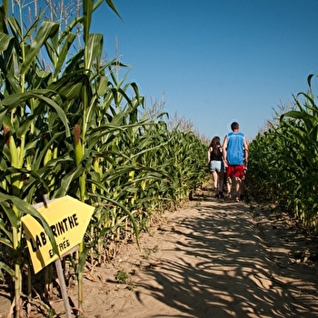 Ferme des Glaciers - 