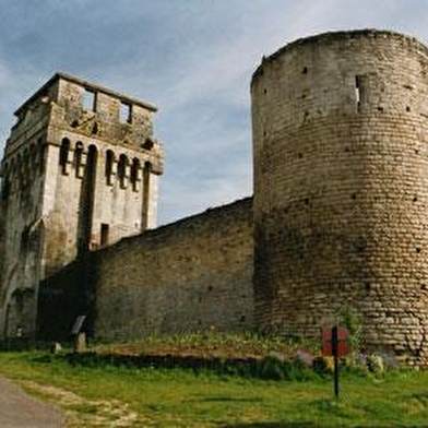 Château-Fort des Comtes d'Auxerre et de Nevers