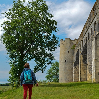 Le journal de Mahaut : Une aventure au Château de Druyes