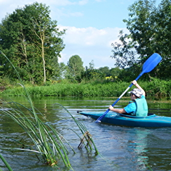 Une découverte de la faune et de la flore au fil de l'eau - MAILLY-LA-VILLE
