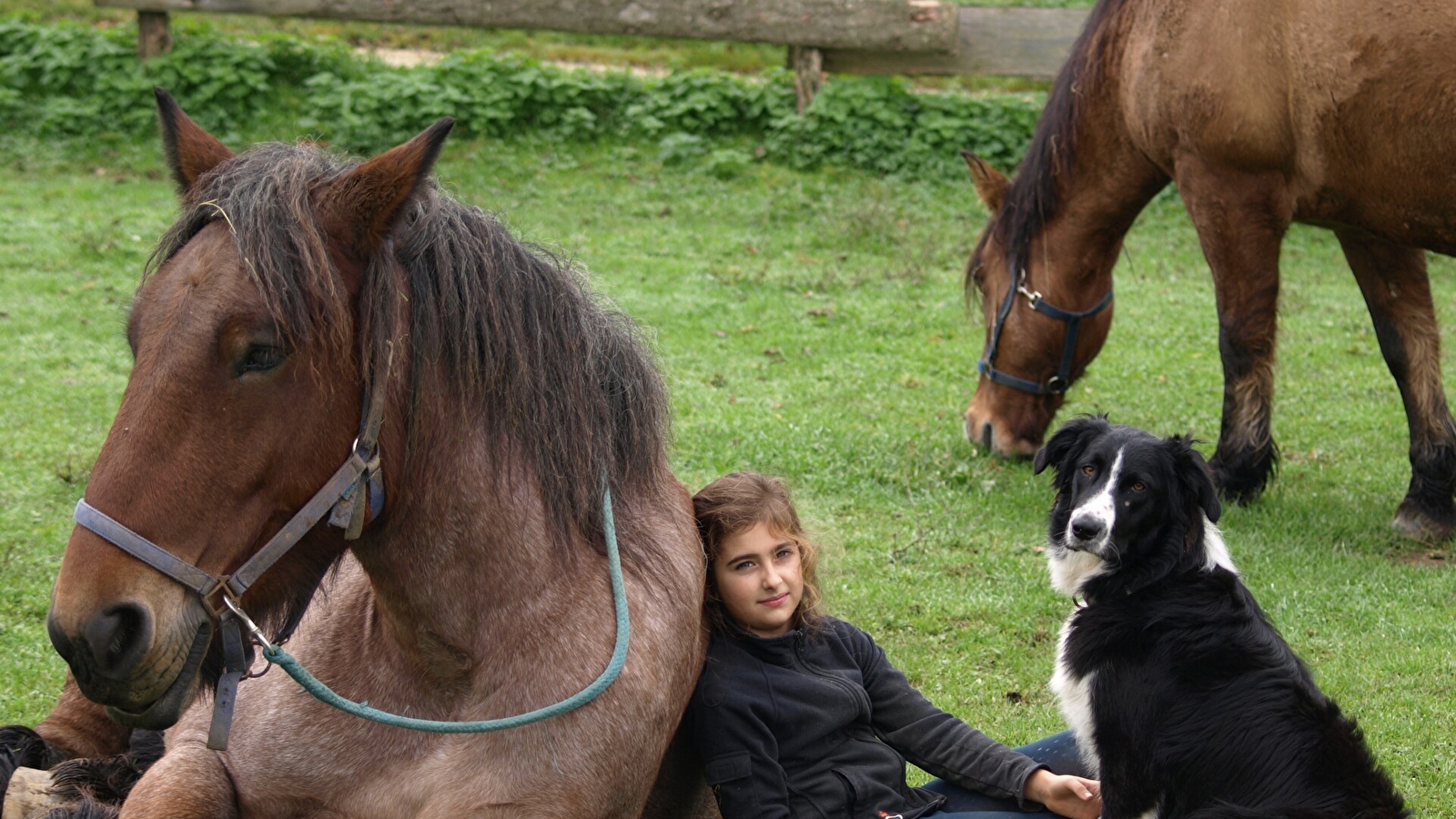La Ferme du Moulin de Vanneau