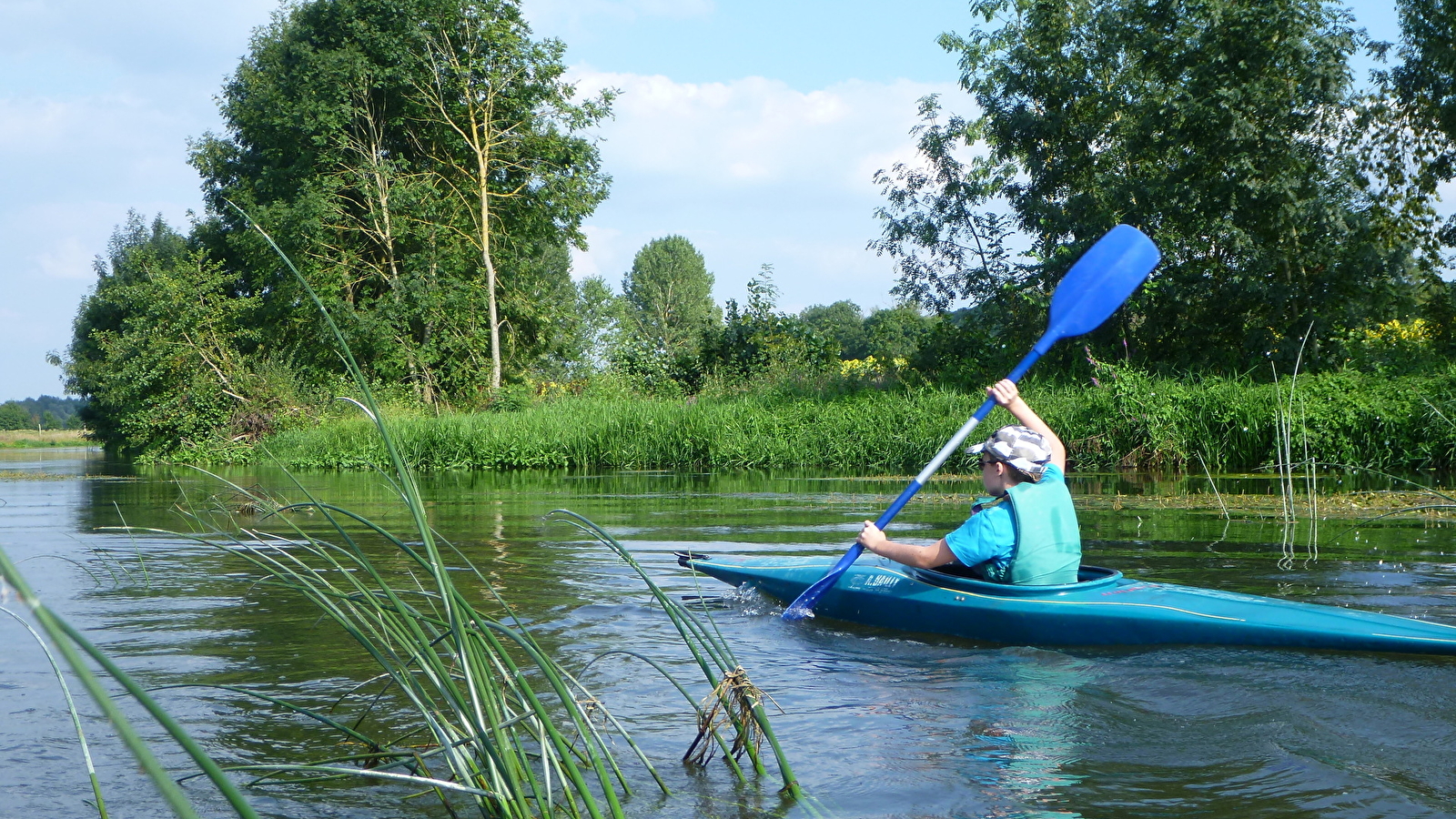 Une découverte de la faune et de la flore au fil de l'eau