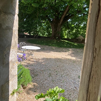 La Plante - Le Logis du Tilleul