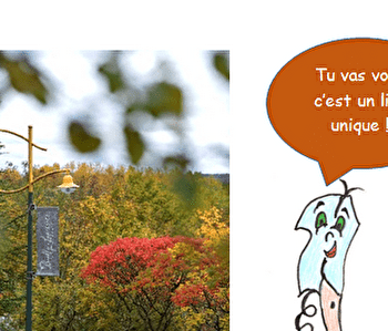 De la récolte du raisin à la mise en bouteille, tu seras incollable sur la fabrication du Crémant ! - SAINT-BRIS-LE-VINEUX