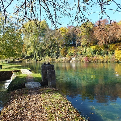 Aide la fée Ondine à retrouver la mémoire !