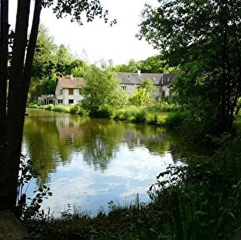 Domaine du Moulin Rouge - Pêche à la truite - CHARNY OREE DE PUISAYE