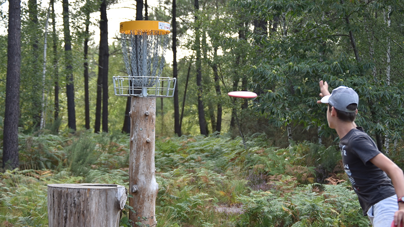 Viens vite tester le Disc Golf au Parc du Bois de la Folie ! 