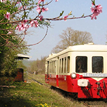 Un voyage au rythme du tacot  - TOUCY