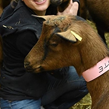Ferme d’Ultéria - SAINT-BRIS-LE-VINEUX