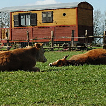 La roulotte de Jeanne - SAINT-FARGEAU