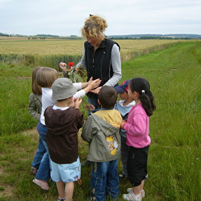 Une ferme pédagogique où tu pourras voir, toucher et nourrir les animaux.