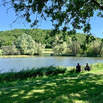 Le Marais d'Andryes - ANDRYES