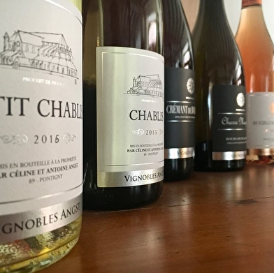 L'Abbaye de Pontigny, aux origines du Chablis