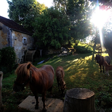 La Ferme du Moulin de Vanneau