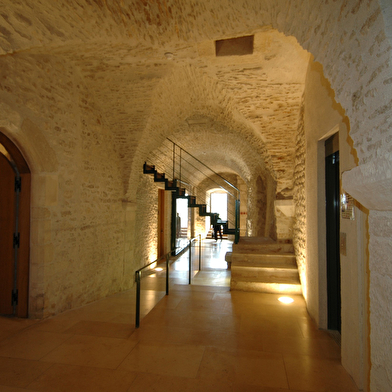 Musée Départemental d'Art Moderne - Collection Zervos