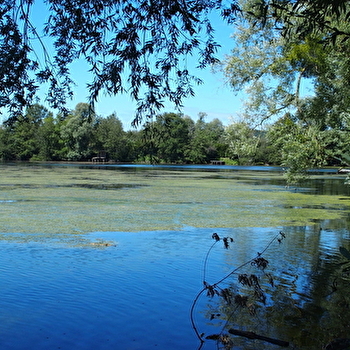 Sauras-tu trouver les 29 balises dissimulées autour des étangs ?  - VILLENEUVE-SUR-YONNE