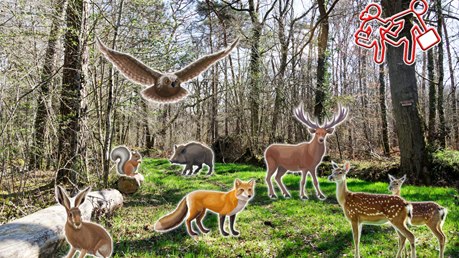 Découvre un village de l’Yonne en t’amusant