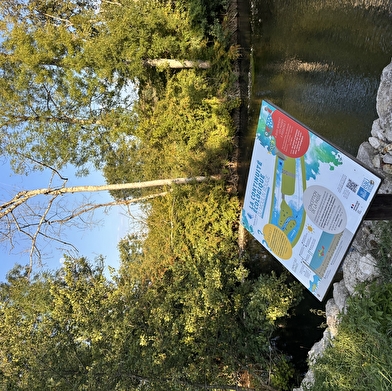 Une jolie balade pédagogique au fil de l'eau !