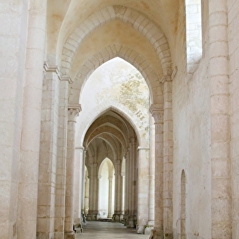 Eglise abbatiale de Pontigny - PONTIGNY