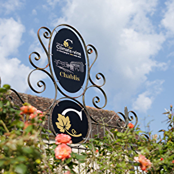 Un lieu unique pour découvrir la vigne et ses secrets ! - CHABLIS
