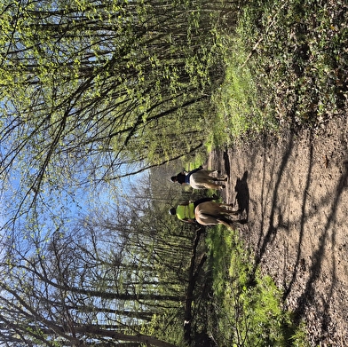Découvre un village de l’Yonne en t’amusant