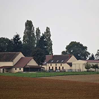 Le Petit Biguereaux - PIFFONDS