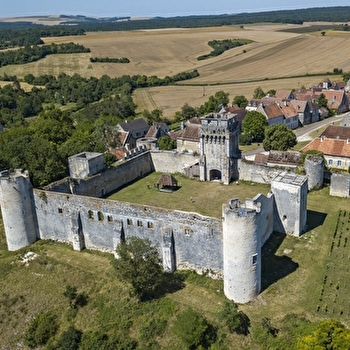 Château-Fort des Comtes d'Auxerre et de Nevers - DRUYES-LES-BELLES-FONTAINES
